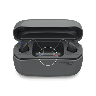 Standard Charger
